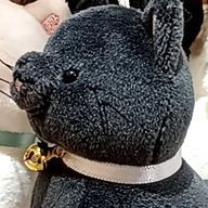 琥珀 (偽名)さんのアイコン画像