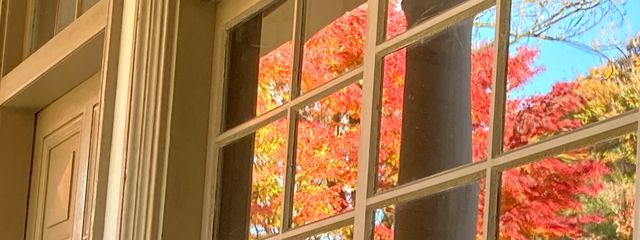 とらちゃん🐯さんの壁紙画像