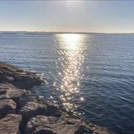 とらちゃん🐯さんのアイコン画像