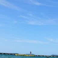 Dさんのアイコン画像