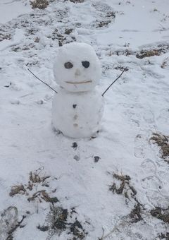 私の回りで起きた薔薇&百合！