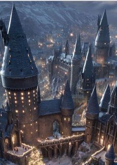 　【　fille magique and wizard　】