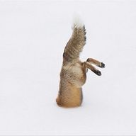 うにるさんのアイコン画像