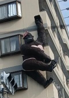 何か主の日常とかあった出来事とか何かを語る部屋