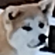 仁瀬　蒼生さんのアイコン画像