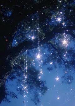 　　寂しい夜には