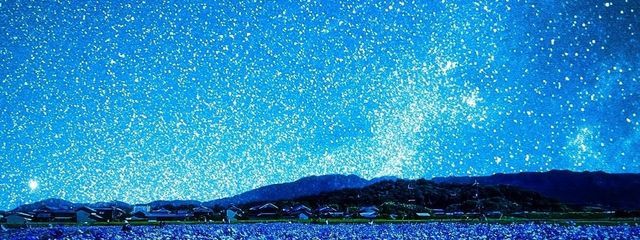 ᐕ)ﾉさんの壁紙画像