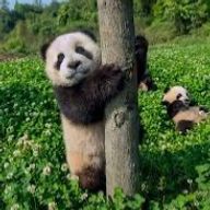 メロンさんのアイコン画像