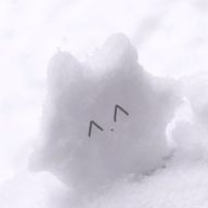 SION🐇💗#浮上率低下😵‍💫💦@ふぉろば〇さんのアイコン画像