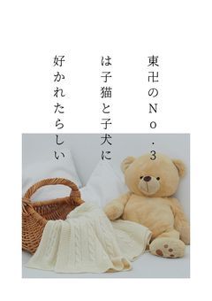 東卍のNo.3は子猫と子犬に好かれたらしい