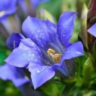 OTO:悲しんでいる貴方を愛するさんのアイコン画像