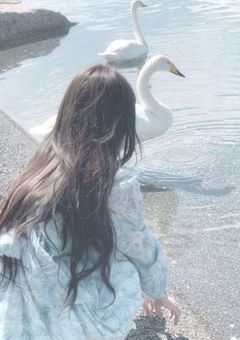  #  お 姫 様 に な り た い 。