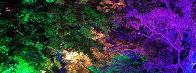 ただのオタクさんの壁紙画像
