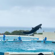 哀れな迷える子羊さん@フォロバ100  さんのアイコン画像