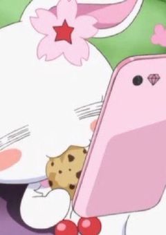 ドカメロってインターネット世界