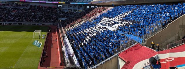 つばさ🪽さんの壁紙画像