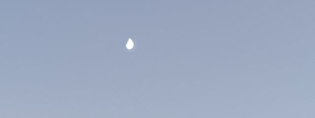 ネコち @ペア画中さんの壁紙画像