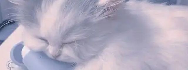 れおさんの壁紙画像