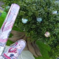 めあ  /  🐢投稿🦥ログインさんのアイコン画像