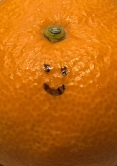 コメチャレ！！！！！！