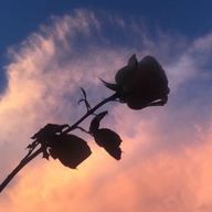 ルナード。さんのアイコン画像