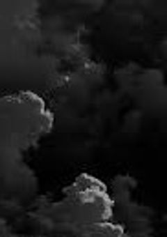 ネスト一の鬼才 , 序列101位らしい .