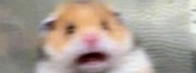 Ｈさんの壁紙画像