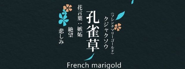 鷹鶴さんの壁紙画像