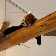 はるさんのアイコン画像