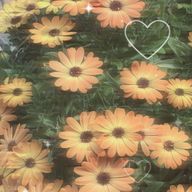 oMiさんのアイコン画像