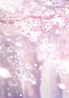 死にたがりの僕と生きたがりの君