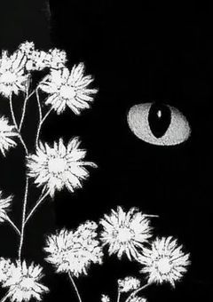 気ままに生きる事が長所です。