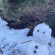 Rinaたそ🍽さんのアイコン画像