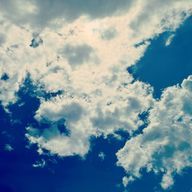 ぬいさんのアイコン画像