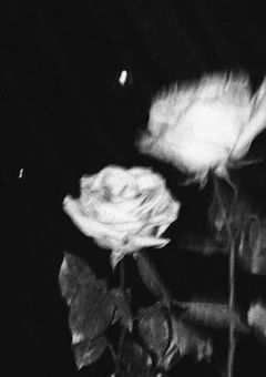 　　Kドル専用 精神科 .