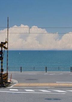 　　　treasure　bl　　.　　?　　　　