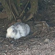 まっちゃNaさんのアイコン画像