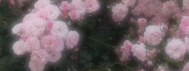 るなさんの壁紙画像