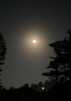 元人間の幽霊は、人類を思い出すか？