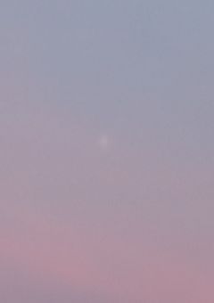 え？転生した？