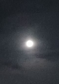 3年ぶりに書く怖い話(?)