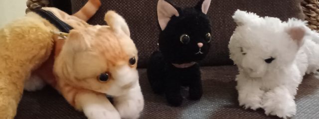 ゆずさんの壁紙画像