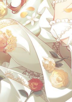 ✦゛　貴方に送る最大の贈り物