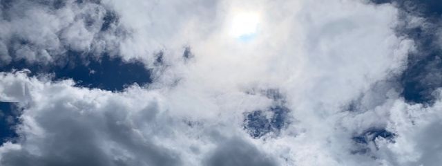 ✧しぃぐらす✧さんの壁紙画像