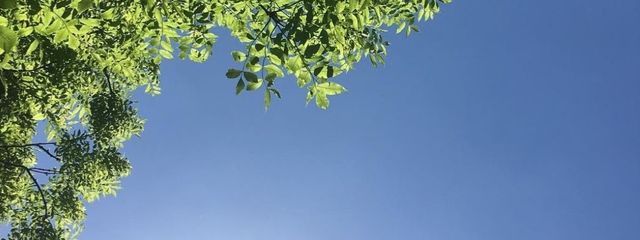 Asterさんの壁紙画像