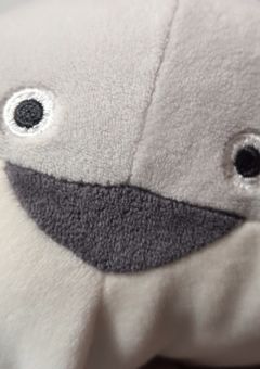 今日も一つ　頭を使って考える