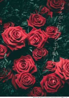 リアルがこれはマジですか！？