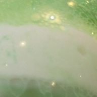 *mitsuさんのアイコン画像