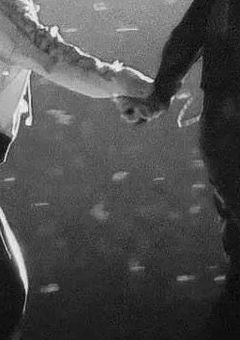 『 I Like It , 』 It’s a Lie .　🙃