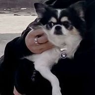 💥 s h o c k 🔫さんのアイコン画像